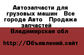 Автозапчасти для грузовых машин - Все города Авто » Продажа запчастей   . Владимирская обл.